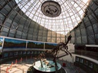 伊春嘉荫恐龙国家地质公园公园位于伊春市嘉荫县城西11公里处，中俄界河黑龙江的南岸，于2001年12月经国土资源部批准建立。