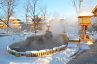 伊春宝宇龙花温泉度假小镇伊春宝宇龙花温泉度假小镇坐落于小兴安岭山脉伊春西岭林场，温泉水采自小兴安岭山脉寒地2700米。